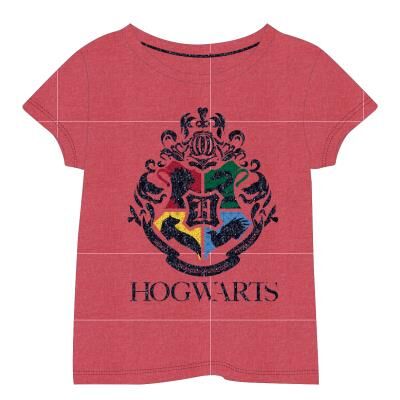 Harry Potter - Camiseta de algodn 10A