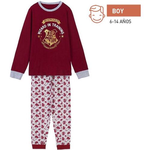 Harry Potter - Pijama largo  de nio single jersey 6A