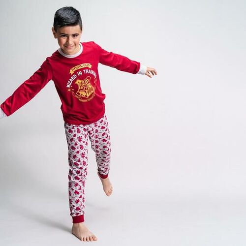 Harry Potter - Pijama largo  de nio single jersey 6A